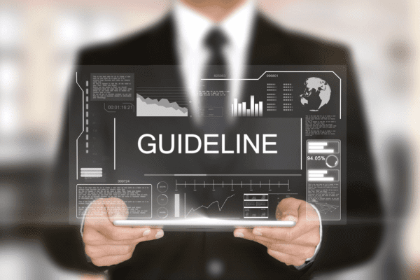New Cyber Guidelines